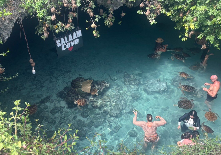 Salaam Cave Private Swimming with the turtles Experience (30 Minutes)