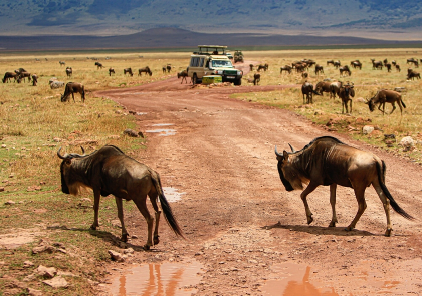 Umbwe Route - 8 Days Kilimanjaro Climbing