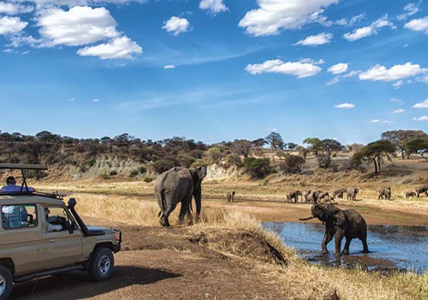 Rongai Route - 9 Days Kilimanjaro Climbing