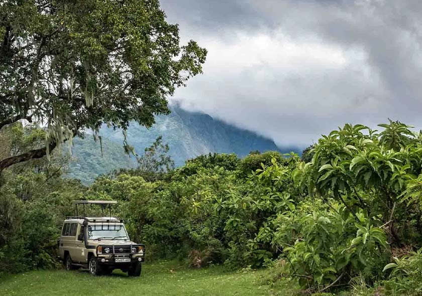 Rongai Route - 9 Days Kilimanjaro Climbing