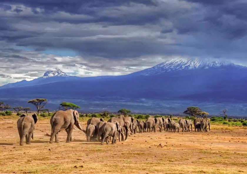 Mount Meru Wildlife Safari - 4 Days