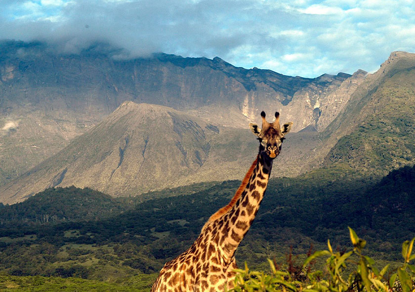 10-Day Mid Range Serengeti Wildebeest Migration Tour