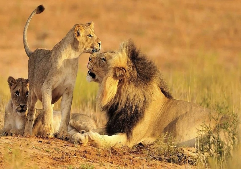 7-Day Tanzania Northern Circuit Amazing Adventures