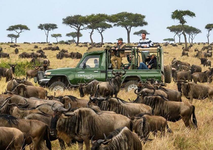 3-Day Zanzibar to Migration Fly-in&out Anniversary Tour