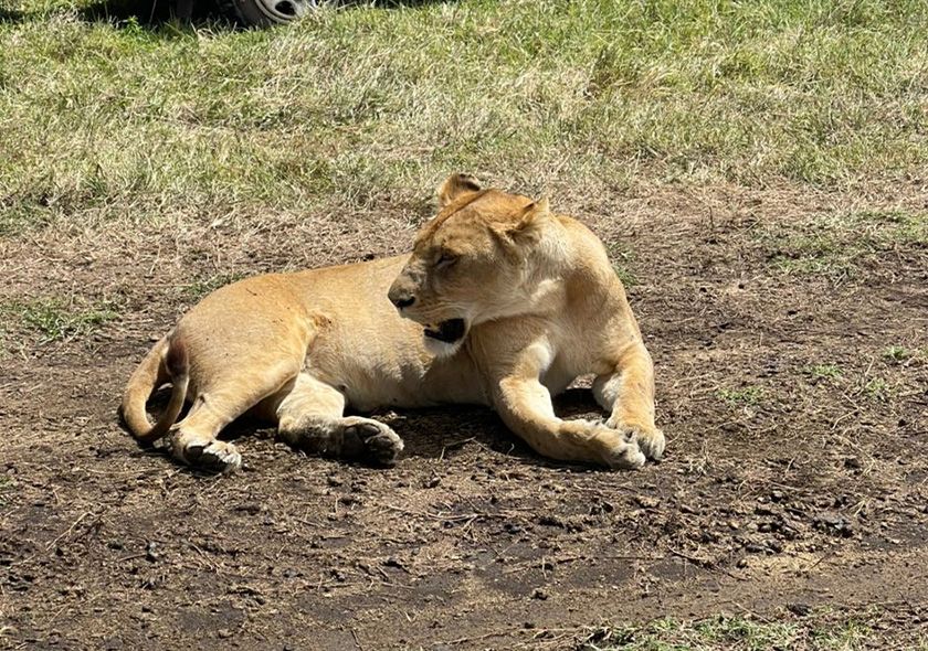 3-Day Selous & Nyerere National Park Safari