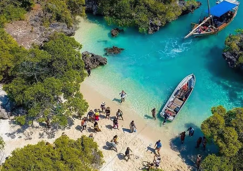 Zanzibar safari blue