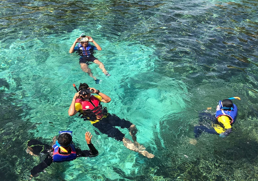 Zanzibar safari blue