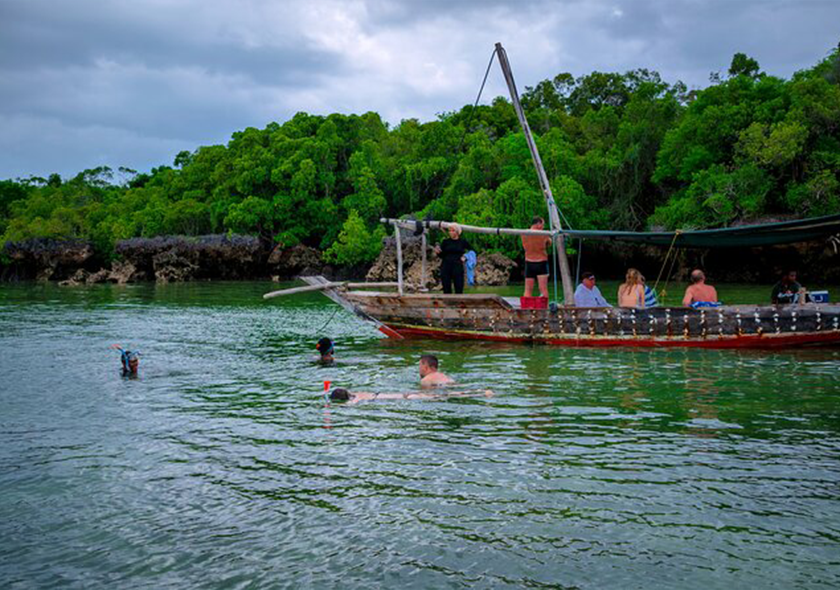 Zanzibar safari blue