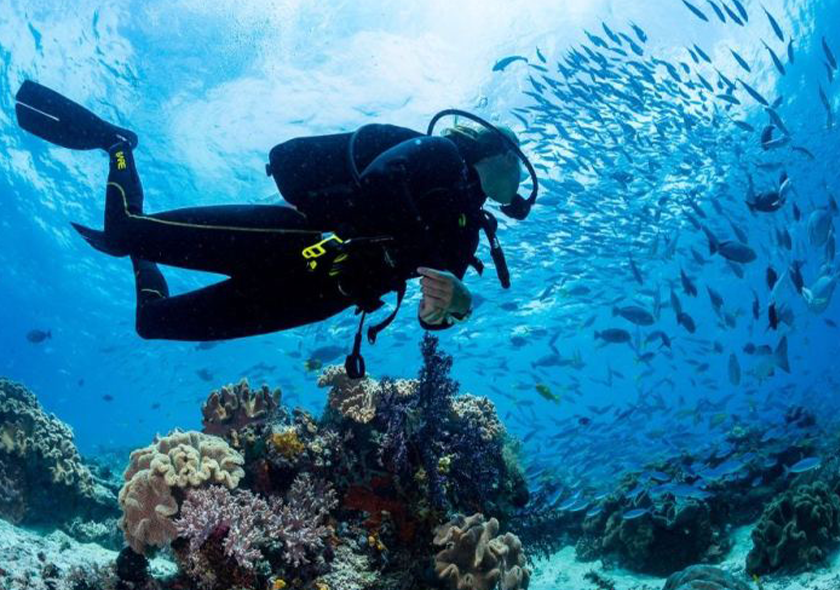 Zanzibar safari blue