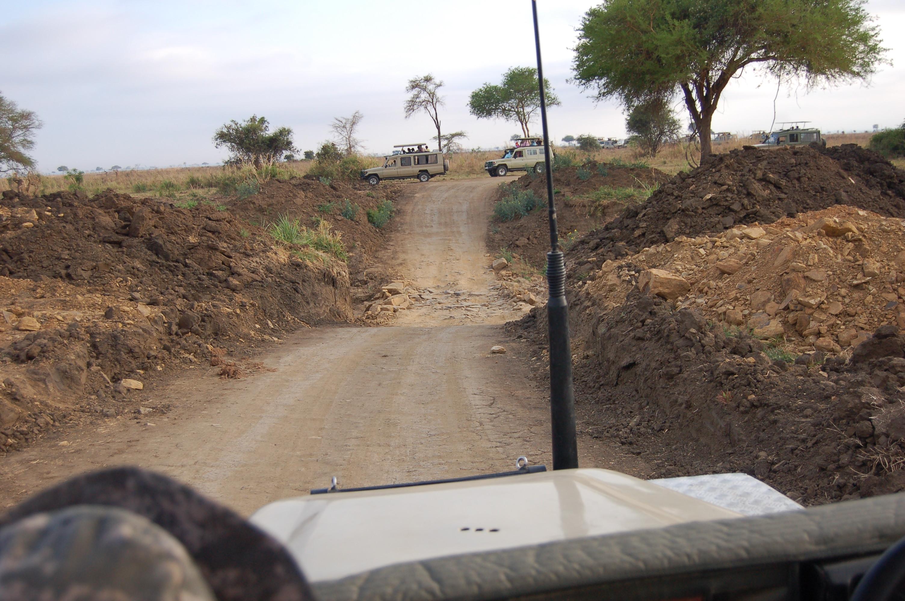 Mikumi National Park Safari